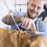 Centre pour soins animaliers - Fès