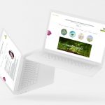 Je vais créer votre site e-commerce - Casablanca
