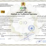 diplome technicien spécialisé en developpement informatique