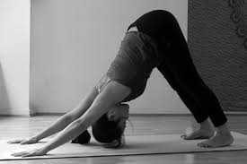 REMISE EN FORME , PERTE OU PRISE DE MASSE - 30 jours - portfolio - 2