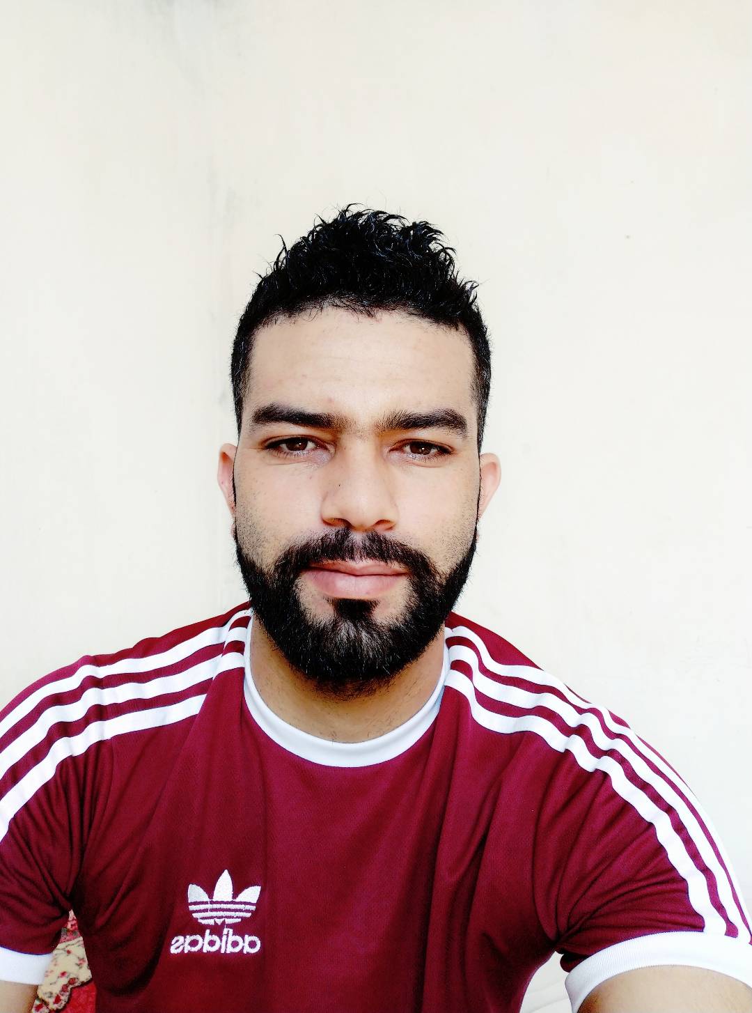 Tarik Tarik Zahir