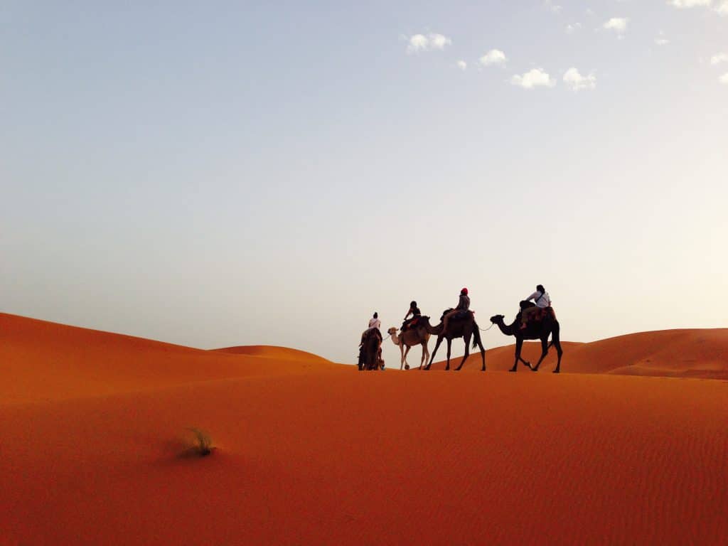 Easygo Tours - portfolio - 0