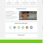 Création de sites e-commerce avec Wordpress