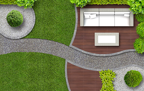 ARCHI PLANTS - portfolio - 0