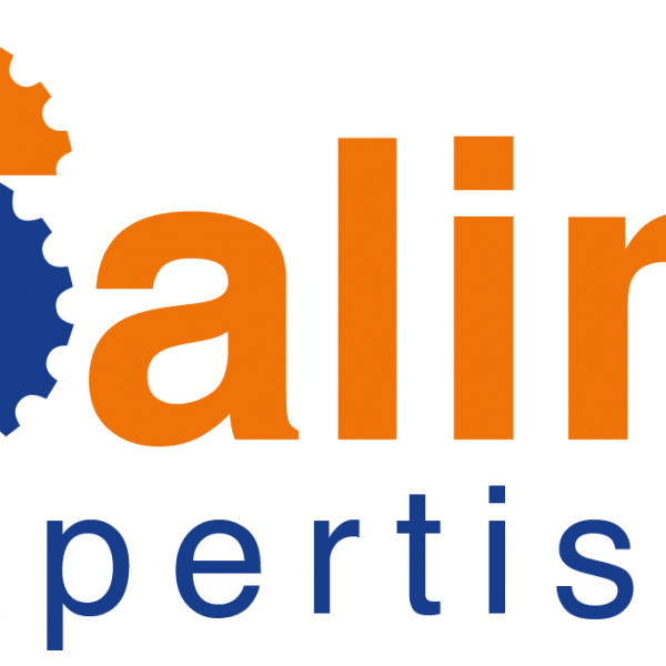 CABINET SALIM EXPERTISES