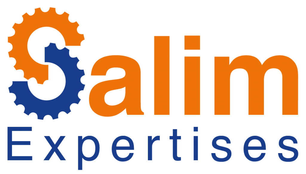 CABINET SALIM EXPERTISES - cover