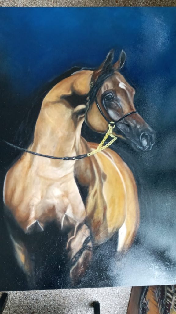 amine amine bouabdallah - portfolio - 1