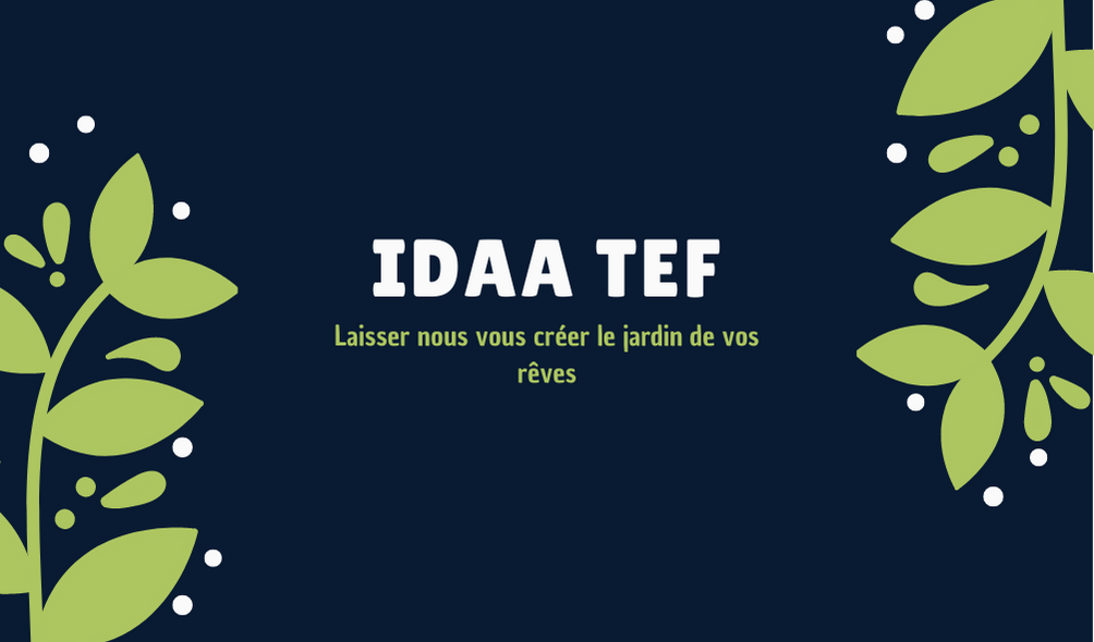 IDAA TEF
