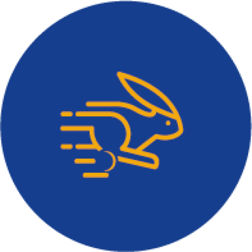RAPPIDIA AGENCY