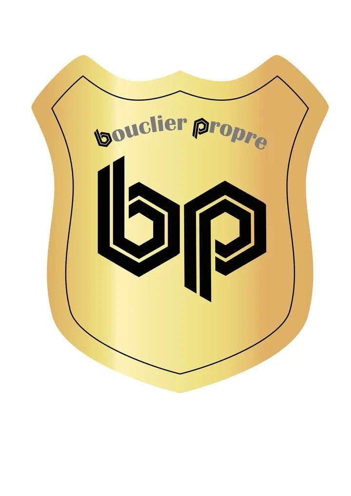 Bouclier Propre SARL  - portfolio - 0