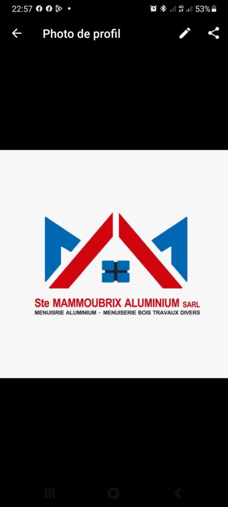 Mammoubrix - cover