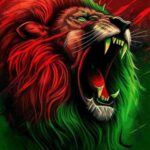 MCH MCH - الدار البيضاء