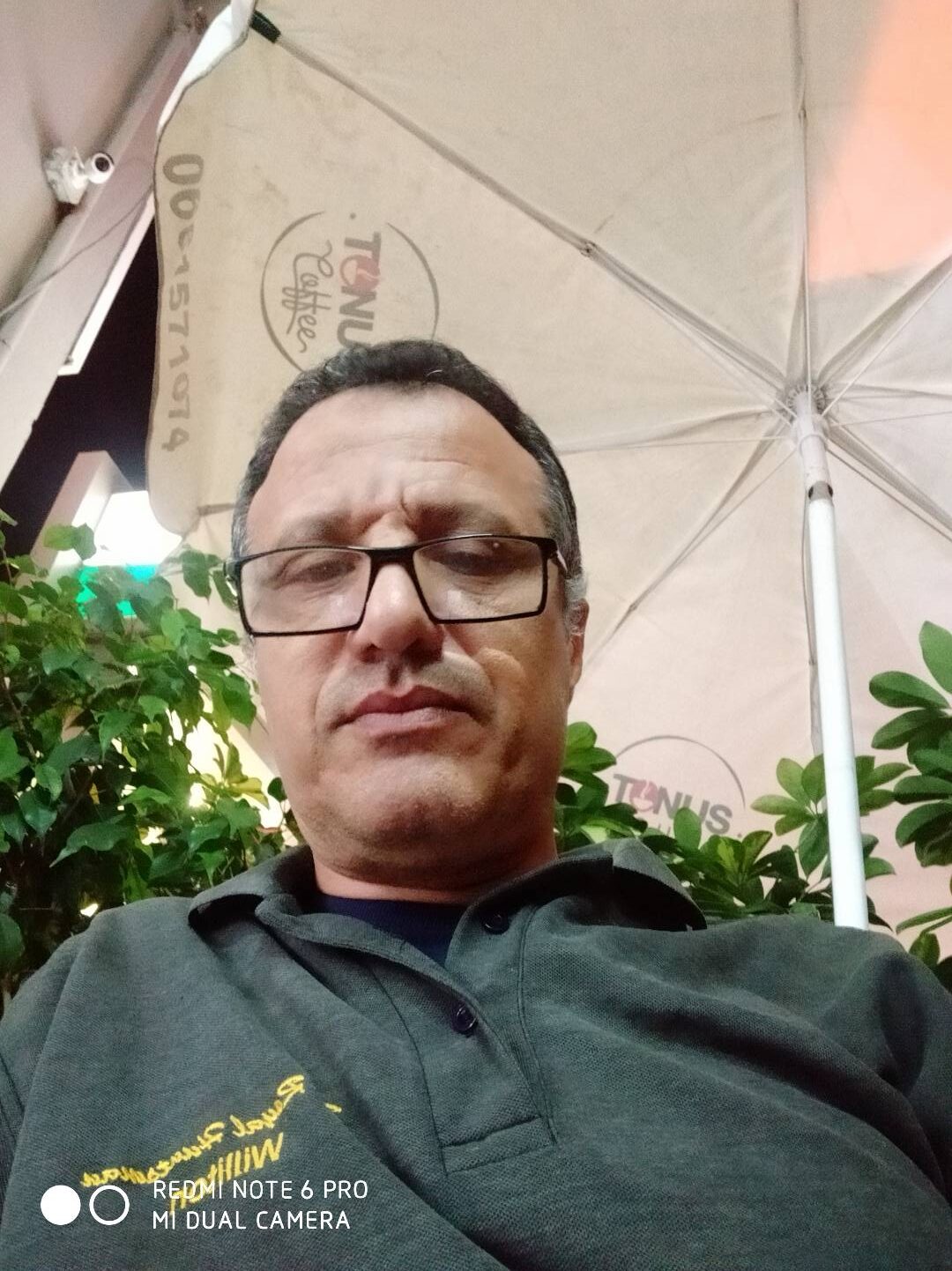 محمد حلوان