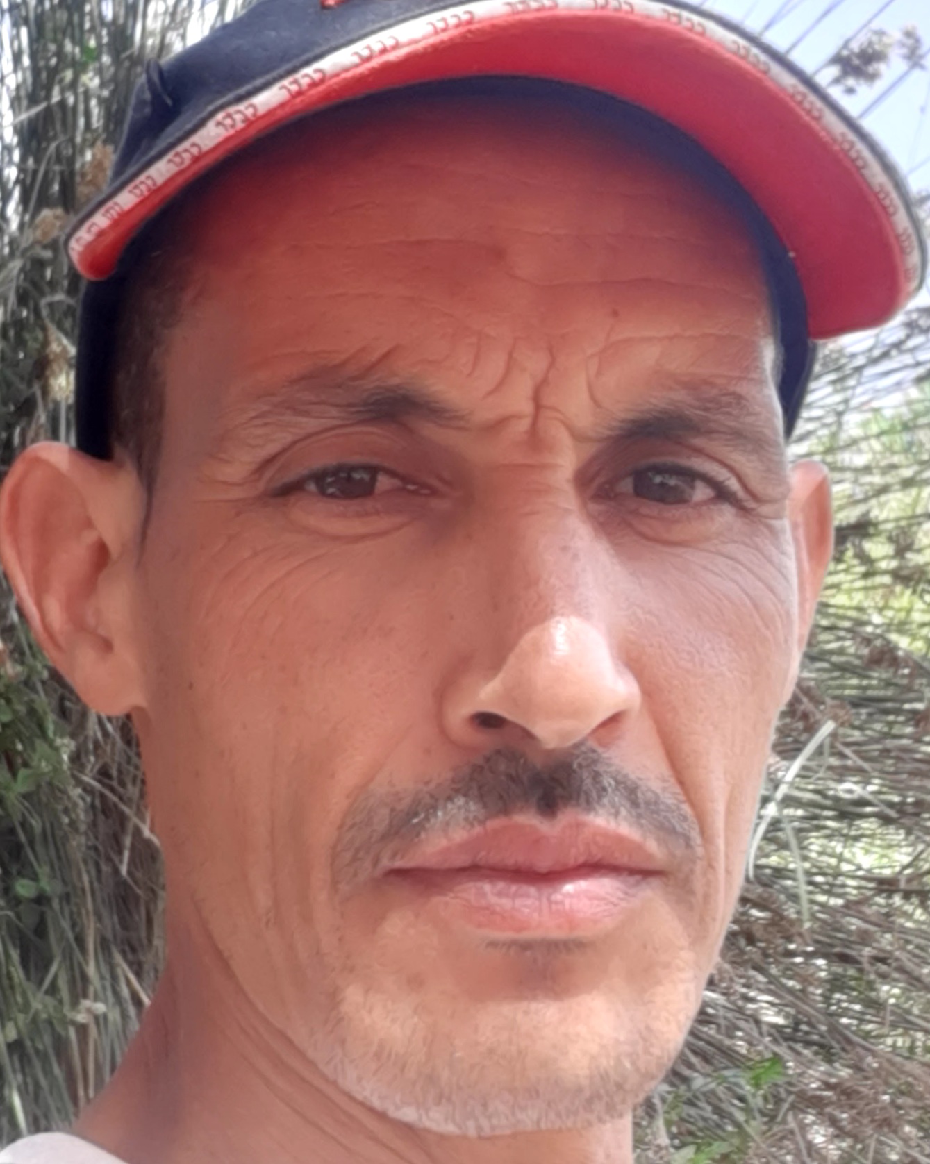 ariban hassan