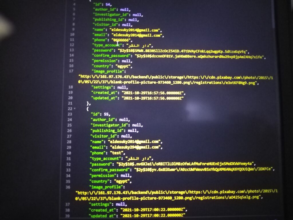 Je vais développer votre APIs dans toute sécurisée avec fremwork laravel - portfolio - 0