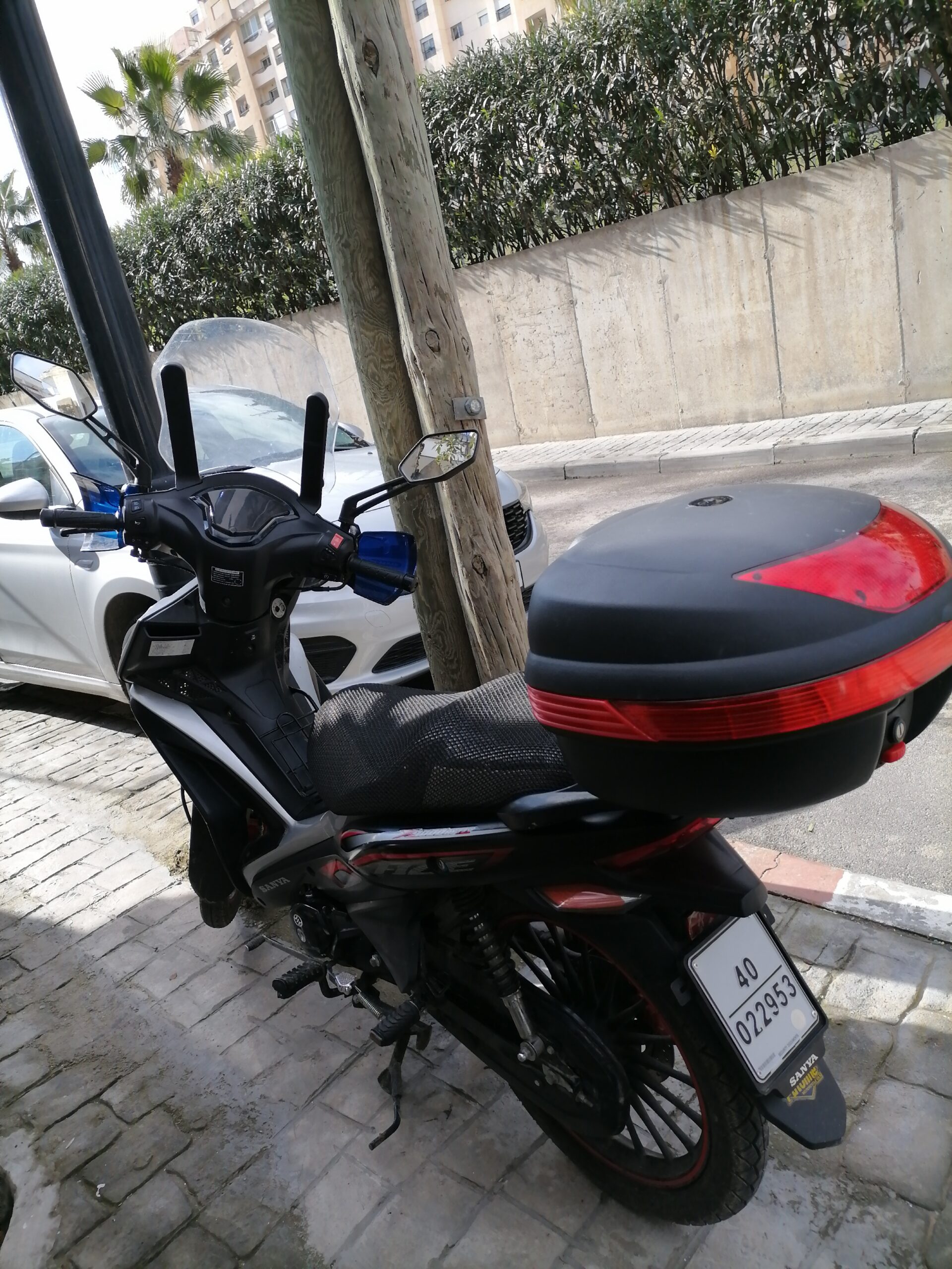 أيوب بوعد