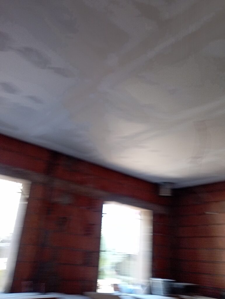 biatres mur et plafond - portfolio - 1