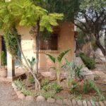Entretien des pelouses , conception des espaces verts, vente des plantes ornementales