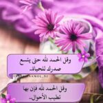 Said Maataoui - الرشيدية