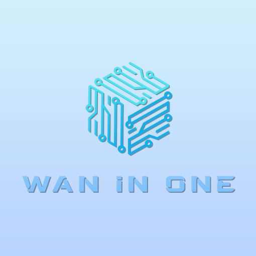 WAN IN ONE