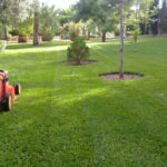تطوير المساحات الخضراء