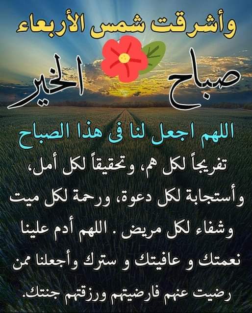 محمد وباسو