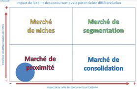 Je réalise des diagnostiques (analyses) stratégiques au profit des PME - portfolio - 1