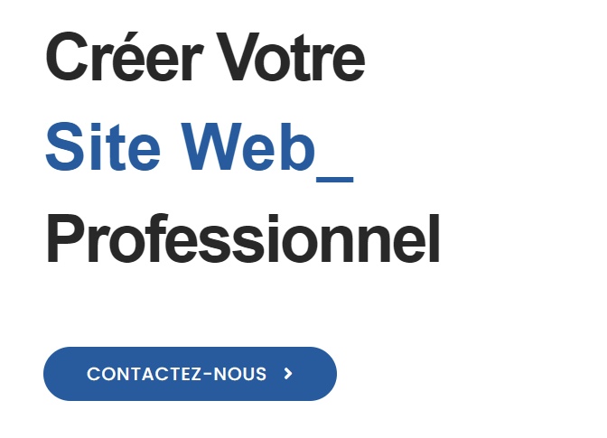 Création des sites web professionnels - portfolio - 0