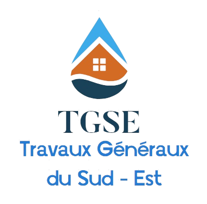 TGSE