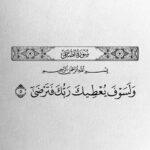 Hafid Hassani - Meknès