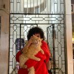 petsitting et promenade