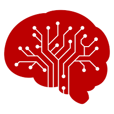 Coach Praticien Neurosciences