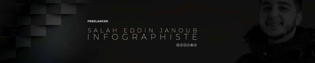 Salah eddin Salah Eddin JANOUB - cover