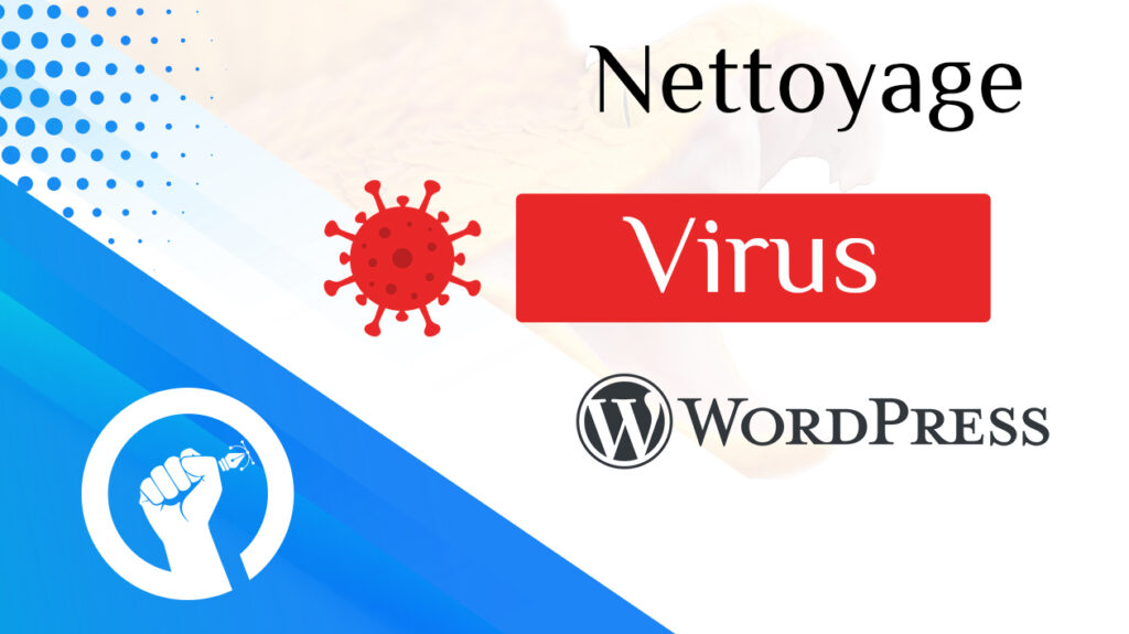 Je vais nettoyer votre site des virus - portfolio - 0