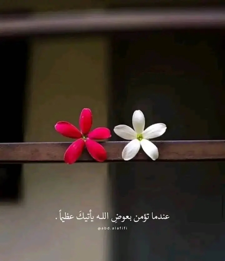 latifa Latifa