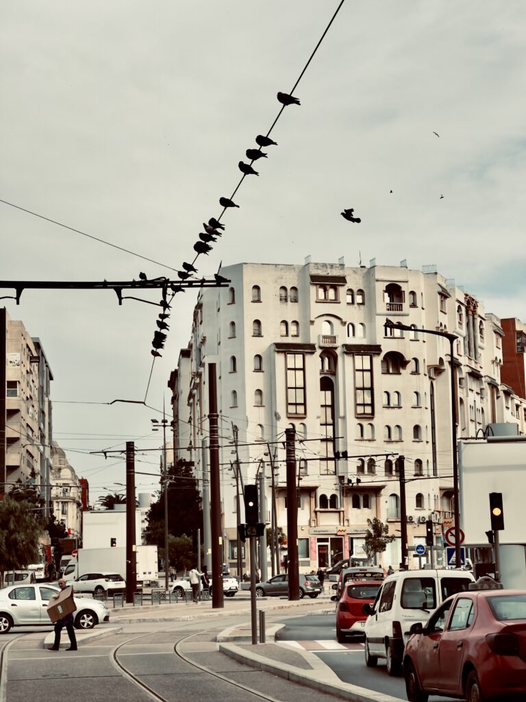 ayoub ayoub aithassou - معرض الأعمال - 2