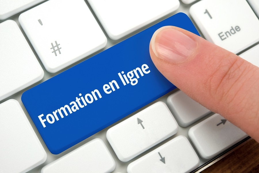 Je vais vous former sur MS Project en visioconférence - portfolio - 0