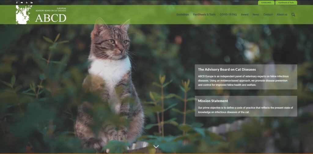 Agence Web Meyer - portfolio - 0