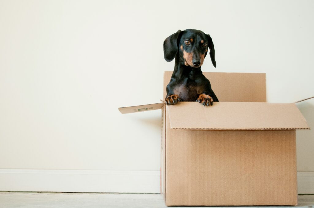 Les 10 astuces incontournables pour un déménagement sans stress