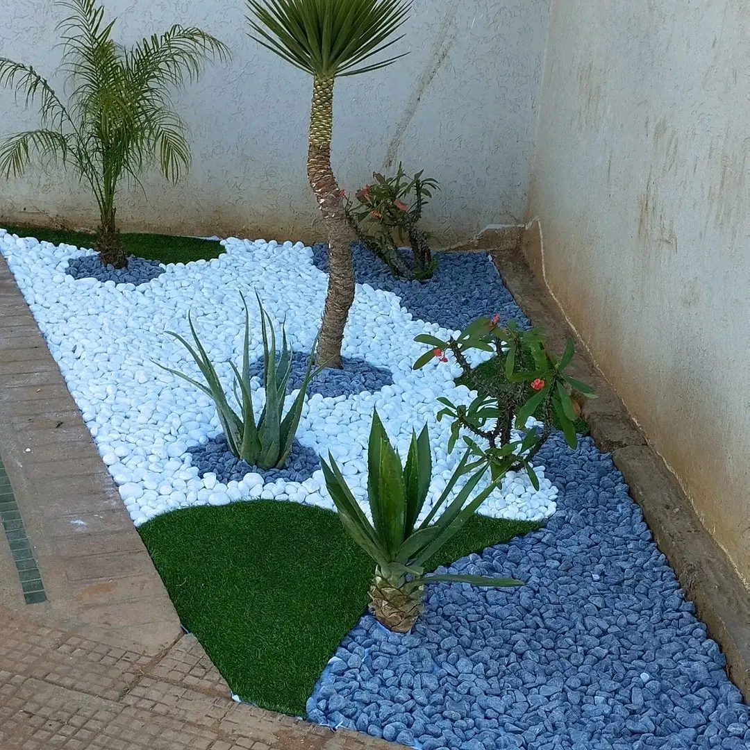 Azddine Habbad