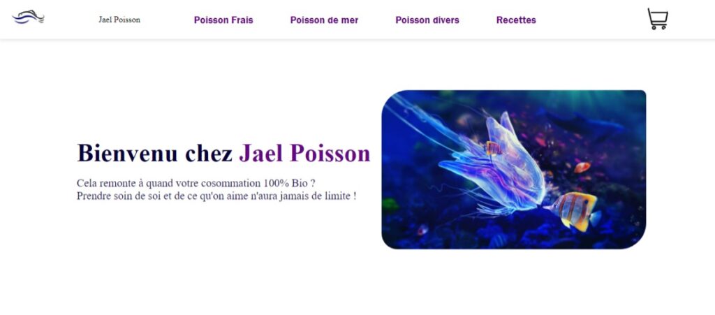 Création des Sites Web, Ui_Design - portfolio - 0