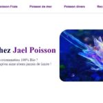 Création des Sites Web, Ui_Design