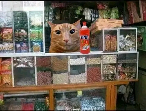 خاصك اي حاجة كاتعلق بالمواد الغداءية او مواد التنظيف مرحبا بك عندنا - portfolio - 2