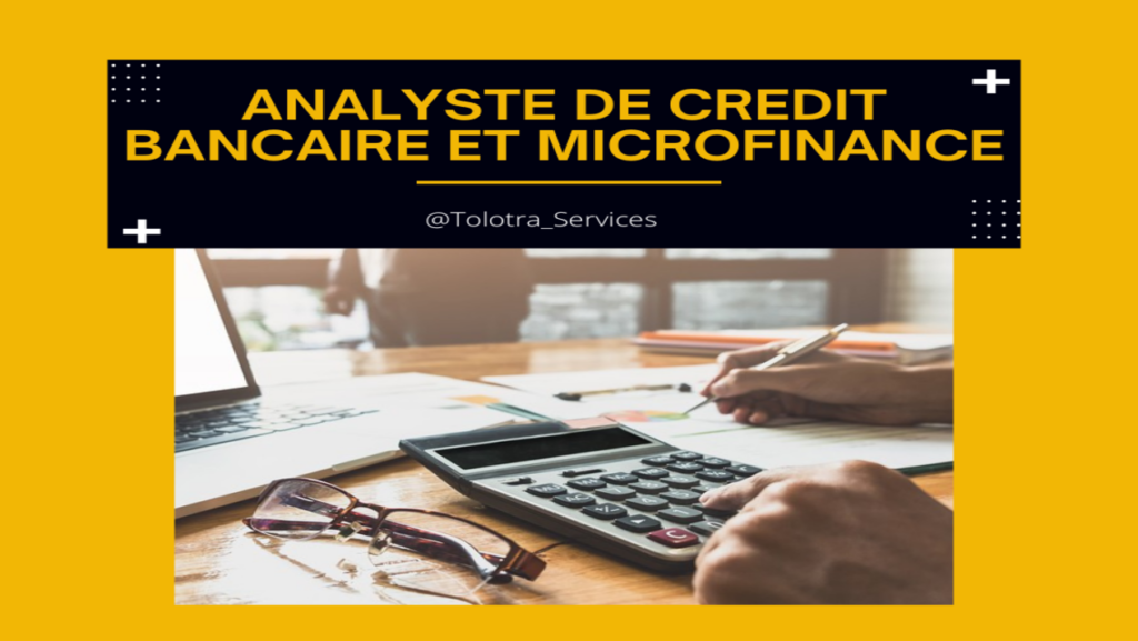 Je vais être votre analyste de crédit - portfolio - 0