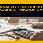 Je vais être votre analyste de crédit