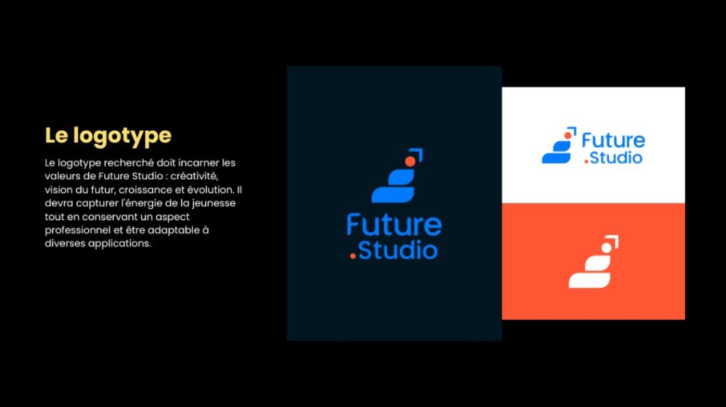 Je vais créer votre logo professionnel et unique - portfolio - 2