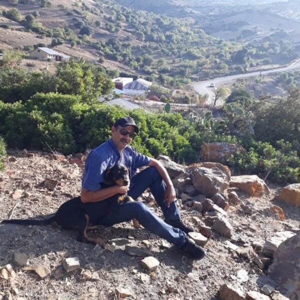 adam حجاج