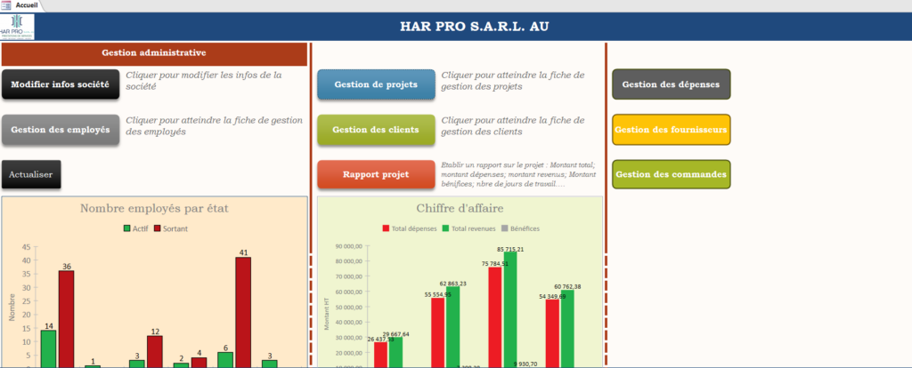 Je peux créer une application sur access pour la gestion de votre entreprise de A à Z - portfolio - 0