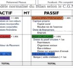 je vais preparer et deposer votre bilan comptable