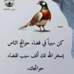YASSINE  BOUHLIL - Marrakech